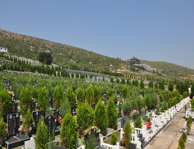 龙山陵园_安徽龙山陵园_淮北龙山陵园_安徽淮北龙山陵园墓型图片,价格